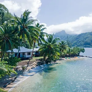https://beach-coconut-lodge.frenchpolynesia-hotels.com