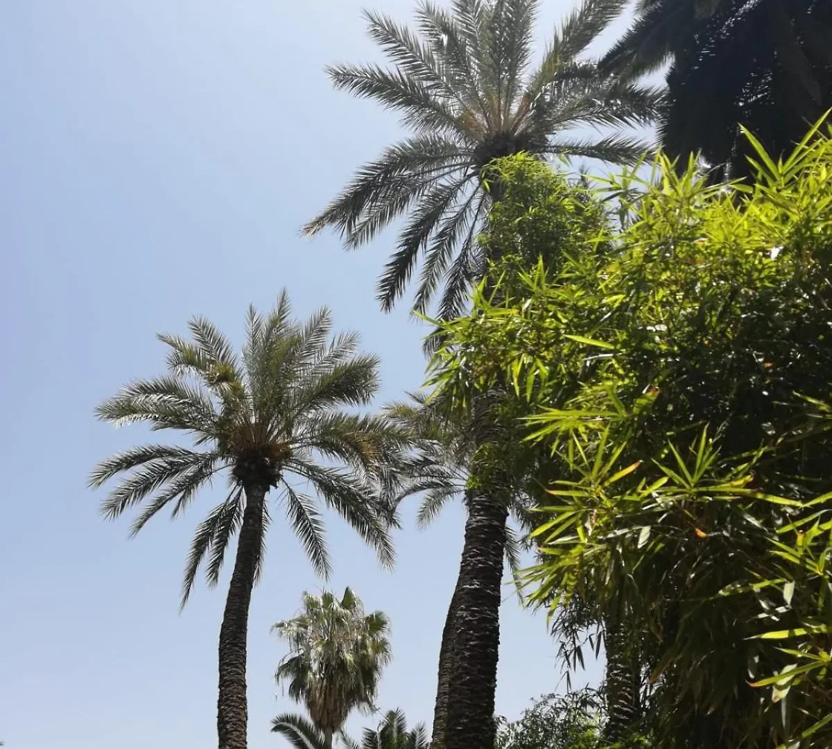 Riad Lalla Aicha-Qariya Siyahia Marrakech Marrakesh Hébergement de vacances